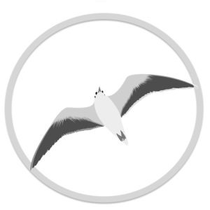 LOGO GAVIOTA